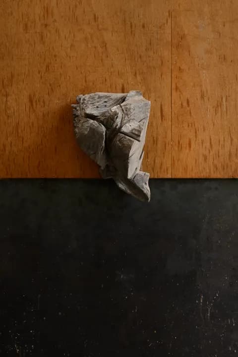 戸谷成雄, 視線体:半彫刻 1, 2025, wood, acrylic, 61.5×40.5×33.5cm 撮影:武藤滋生 Copyright the artist, Courtesy of ShugoArts