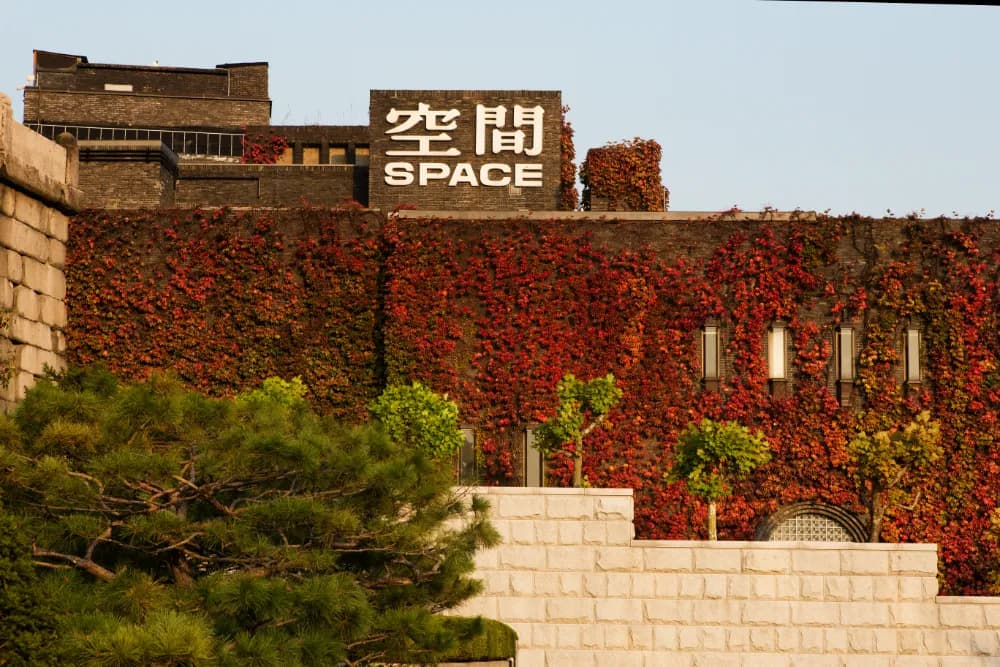 Outlook of ARARIO MUSEUM in Space, 아라리오뮤지엄 제공
