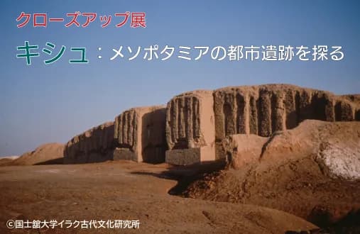 Image 6581
