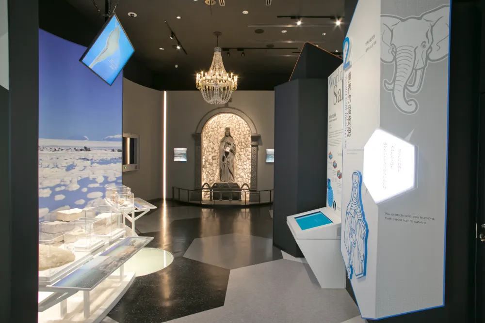 常設展示室 塩の世界 「世界の塩資源」