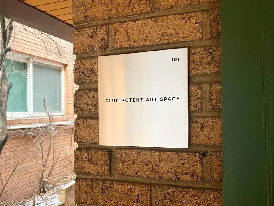 제공: PLURIPOTENT ART SPACE