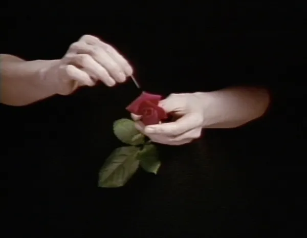 出光真子《Still Life》1993–2000年 ミクストメディア 東京都写真美術館蔵 ©Mako Idemitsu