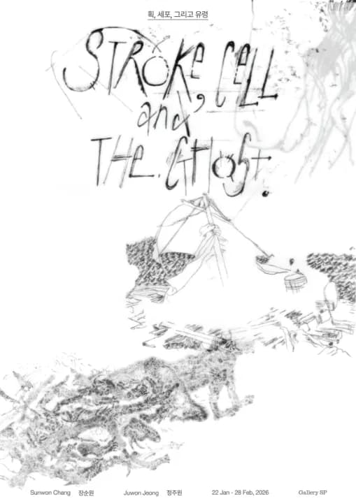 Image 6497