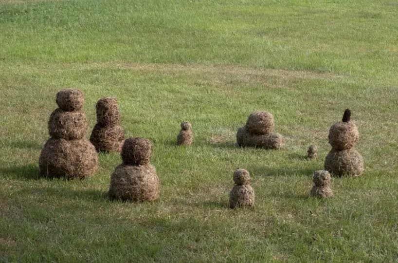 고사리, 〈초사람〉, 2021-2025, 풀, 마끈, 가변크기. 작가 제공. 사진_권오열.
