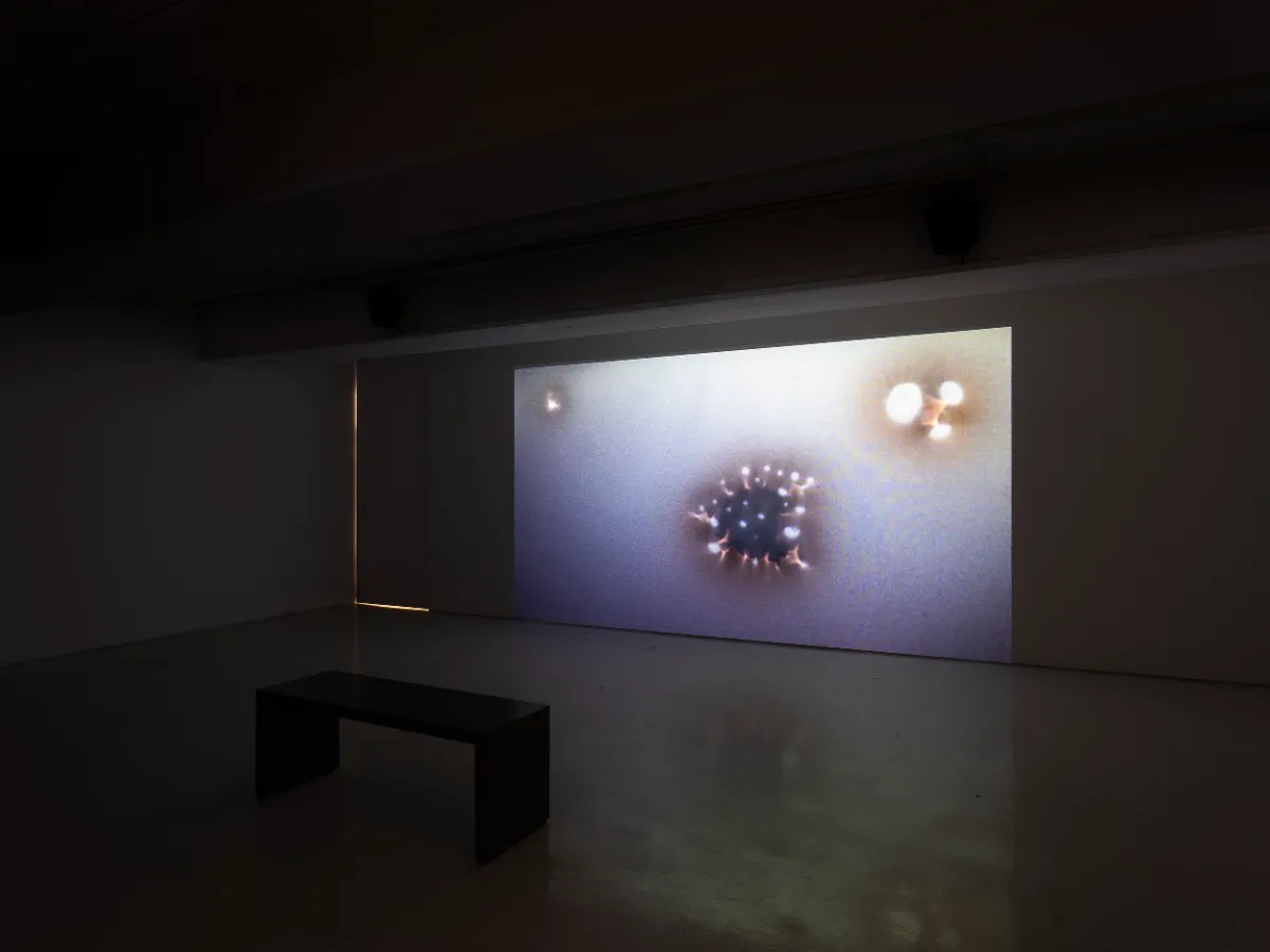 Installation view: Park Sun Min, Pale Pink Universe, Courtesy of Chapter II, 2026
