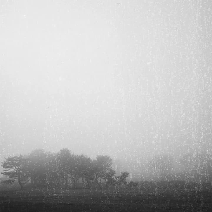 Image 6376