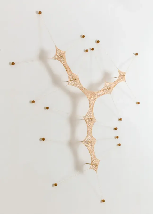 InsePaBi 8
2026
cotton string crochet, bamboo and wood
193.0 x 156.0 x 22.0 cm
Photo by Pepe Schettino
©Ernesto Neto
