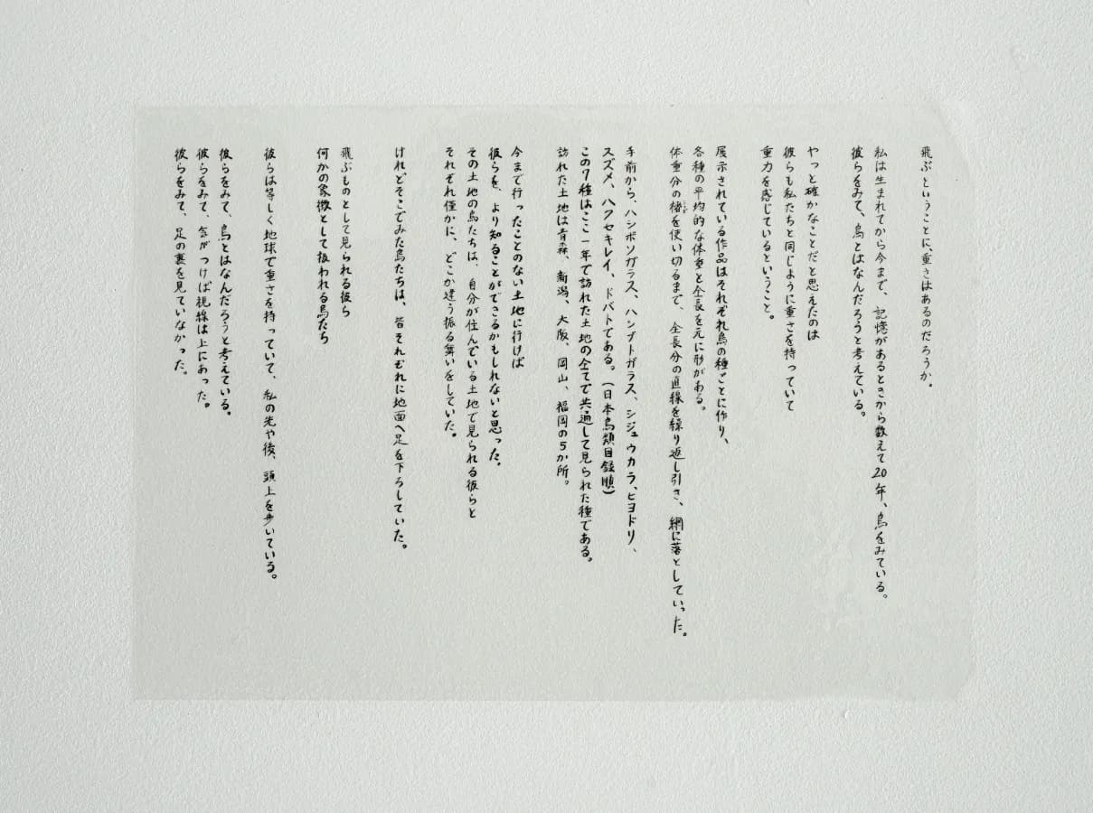 Image 6915