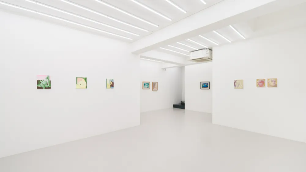 TWR, Curtain Call, installation view