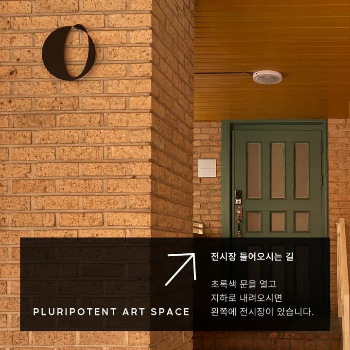 제공: PLURIPOTENT ART SPACE, 緑のドアから入って地下1階が会場
