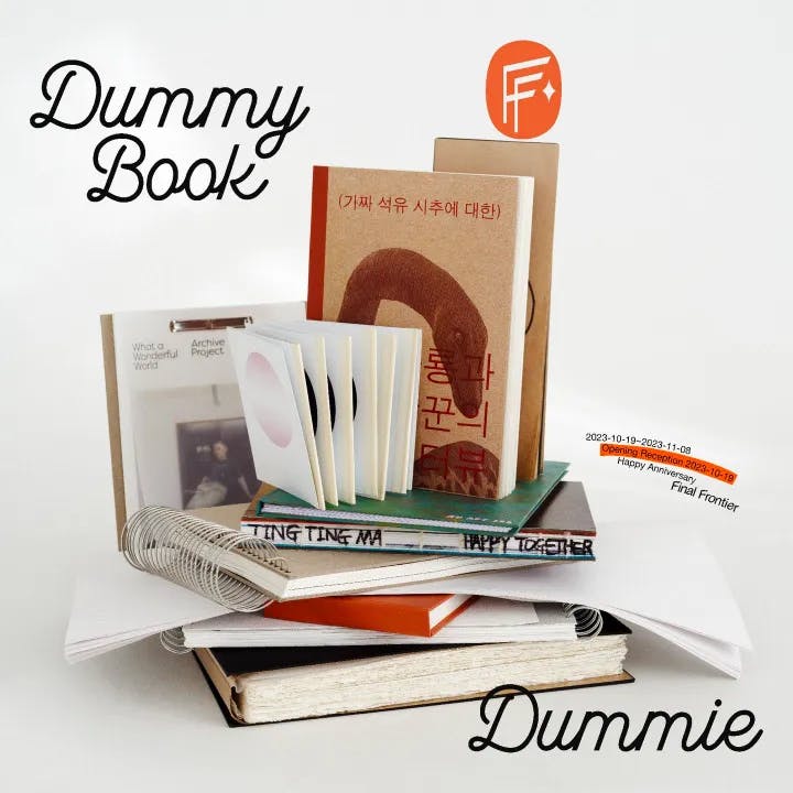 Dummy Book Dummie