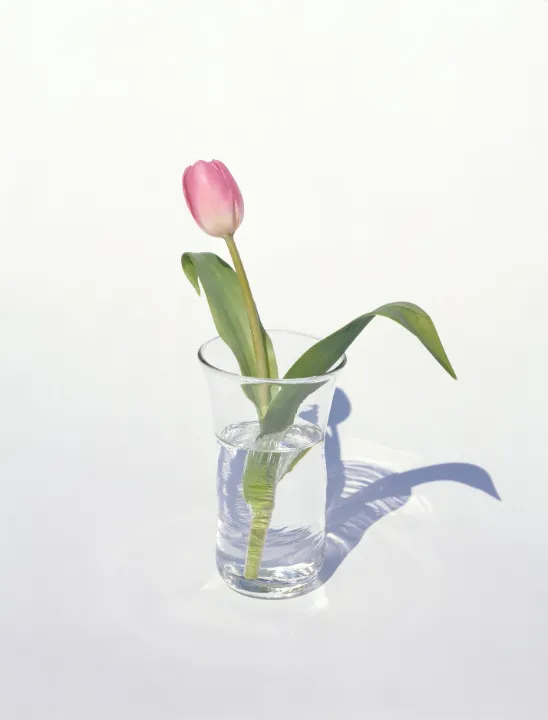 ©Yoshihiko Ueda