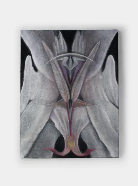 이산오 Lee Sanoh, 변환깃 Eclipse Plumage, 2025, 캔버스위에 색연필, 파스텔, 안료, 혼합매체, 65.4 x 49 cm © Courtesy of the artist