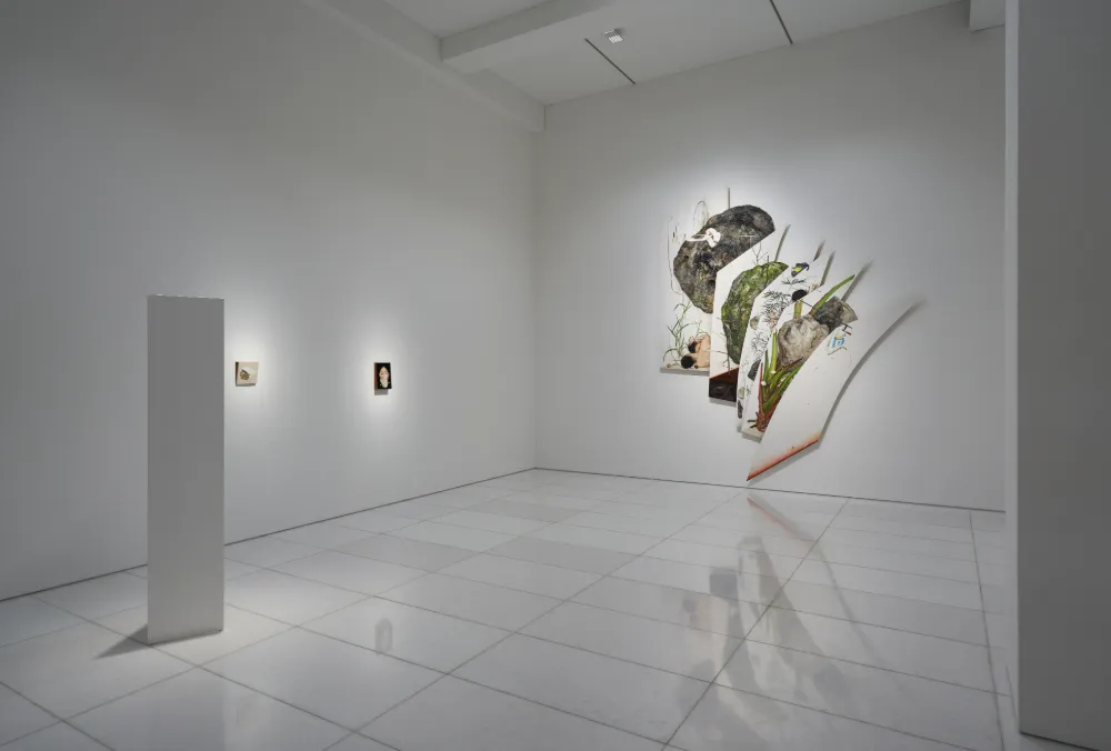 이진주 《불연속연속》, 아라리오갤러리 서울, 2025 전시전경 ©LEE Jinju. Courtesy of the Artist and Arario Gallery.