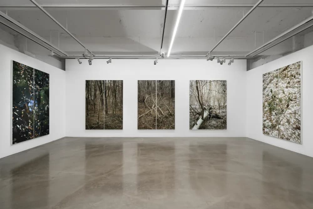 Heeseung Chung_Wilder_2025_Exhibition View 1_Courtesy of Gallery Baton