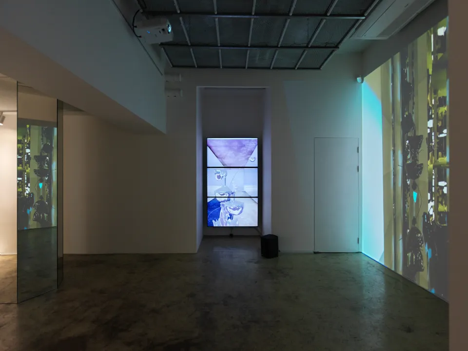 제공: PLURIPOTENT ART SPACE