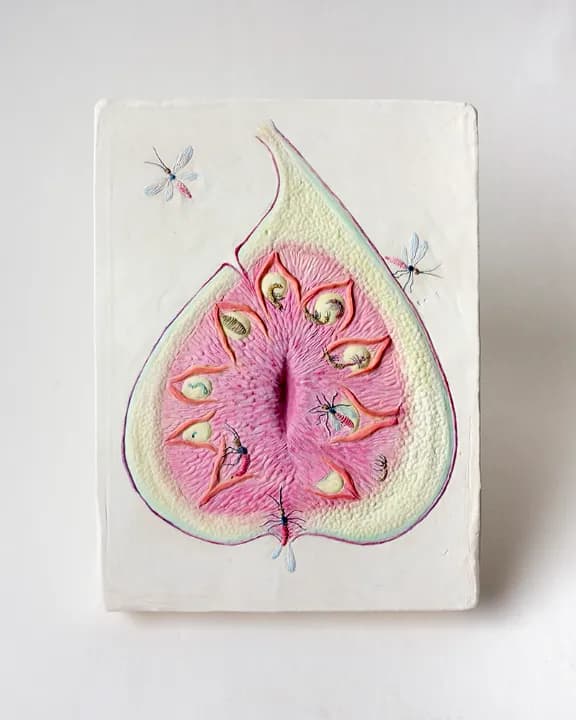 クララ・スピリアールト, Figwasp, 2022, watercolour on plaster, 21x16cm Copyright the artist, Courtesy of ShugoArts