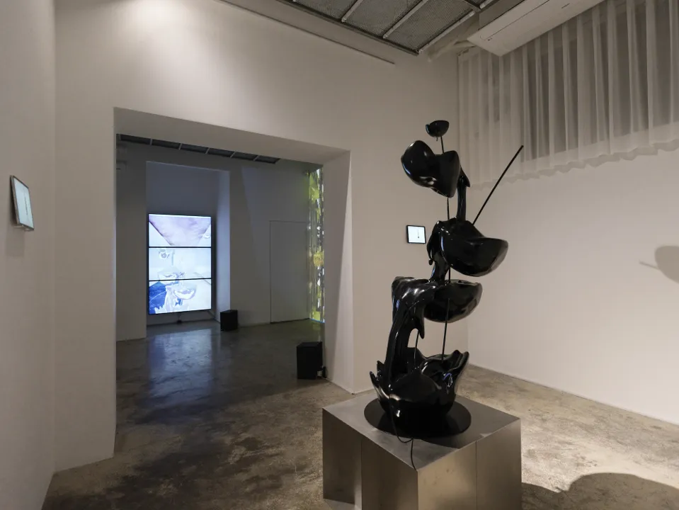 제공: PLURIPOTENT ART SPACE